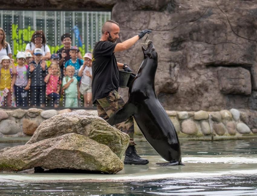 ZOO IN OPPELN